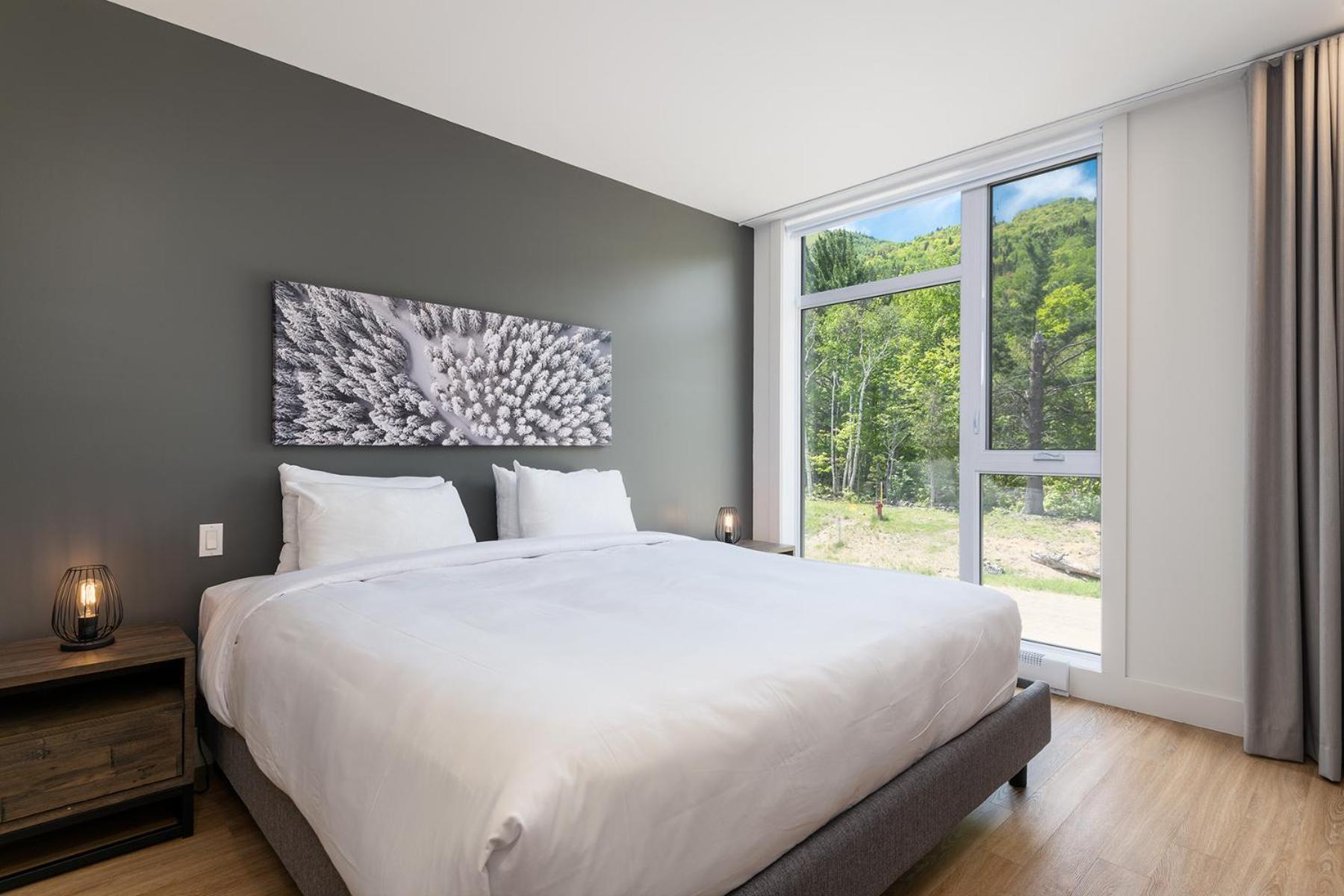 Les Appartements Du Massif De Charlevoix بيتيت ريفري ساينت فرانكويس الغرفة الصورة